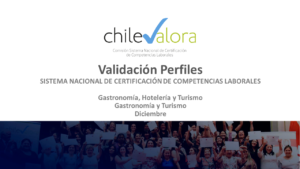 Sesión de Validación Perfiles 2022